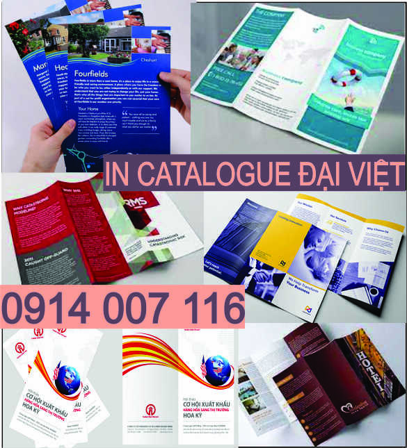 Thiết kế in brochure in catalogue in tờ rơi Phan Thiết